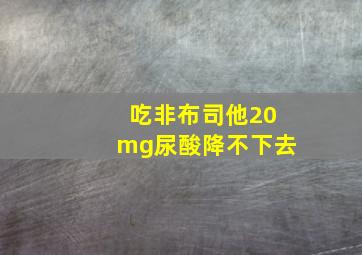 吃非布司他20mg尿酸降不下去