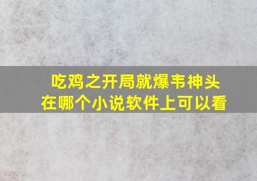 吃鸡之开局就爆韦神头在哪个小说软件上可以看