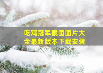 吃鸡冠军截图图片大全最新版本下载安装