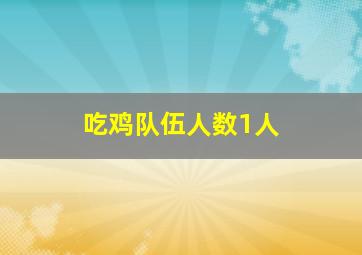 吃鸡队伍人数1人