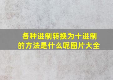 各种进制转换为十进制的方法是什么呢图片大全