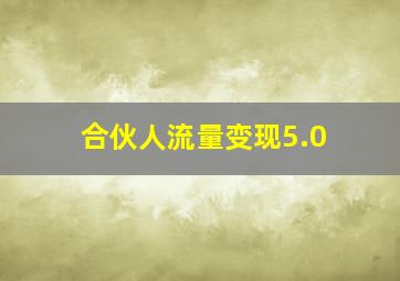 合伙人流量变现5.0