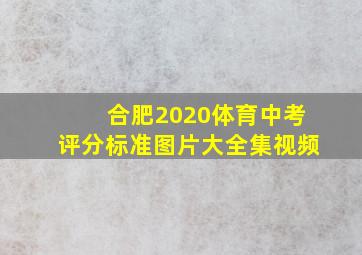 合肥2020体育中考评分标准图片大全集视频