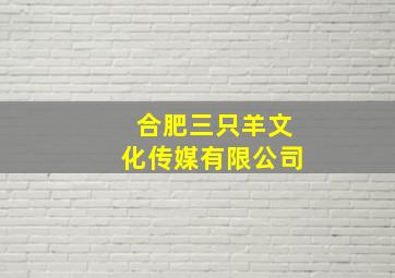 合肥三只羊文化传媒有限公司