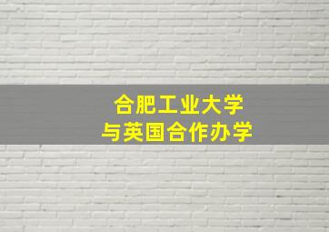 合肥工业大学与英国合作办学