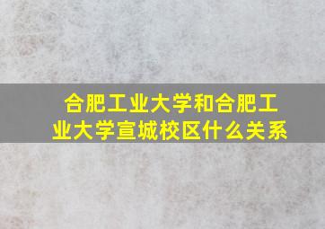 合肥工业大学和合肥工业大学宣城校区什么关系