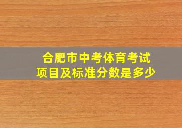 合肥市中考体育考试项目及标准分数是多少