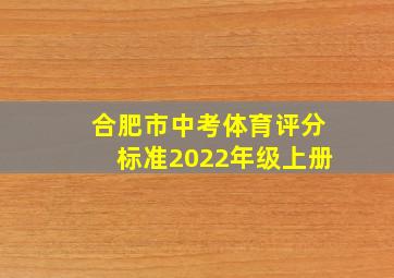 合肥市中考体育评分标准2022年级上册