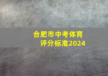 合肥市中考体育评分标准2024