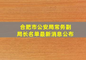 合肥市公安局常务副局长名单最新消息公布