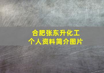 合肥张东升化工个人资料简介图片