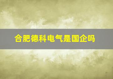 合肥德科电气是国企吗