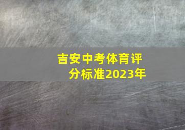 吉安中考体育评分标准2023年