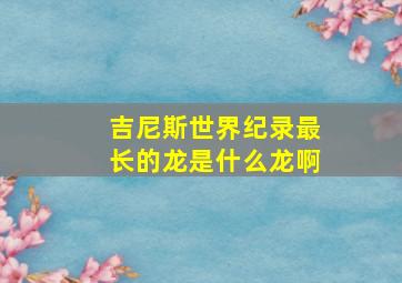 吉尼斯世界纪录最长的龙是什么龙啊