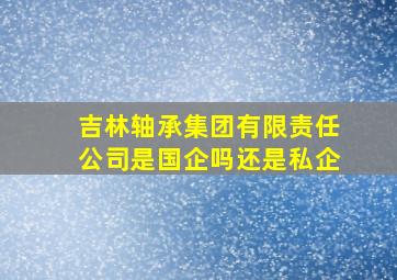 吉林轴承集团有限责任公司是国企吗还是私企