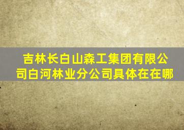 吉林长白山森工集团有限公司白河林业分公司具体在在哪