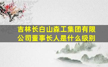 吉林长白山森工集团有限公司董事长人是什么级别