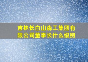 吉林长白山森工集团有限公司董事长什么级别