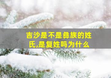 吉沙是不是彝族的姓氏,是复姓吗为什么