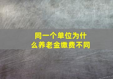 同一个单位为什么养老金缴费不同