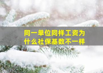 同一单位同样工资为什么社保基数不一样