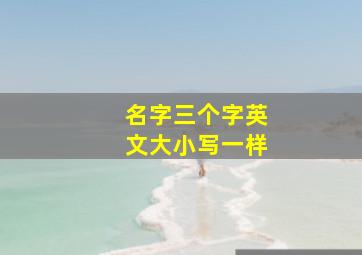 名字三个字英文大小写一样