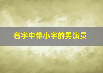 名字中带小字的男演员