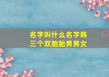 名字叫什么名字韩三个双胞胎男男女