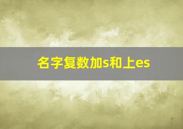 名字复数加s和上es