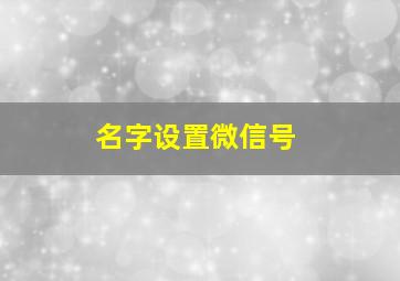 名字设置微信号