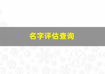 名字评估查询