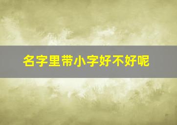 名字里带小字好不好呢