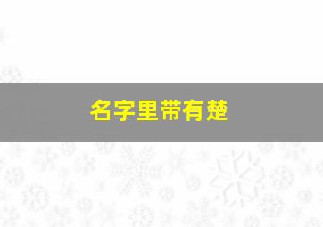 名字里带有楚