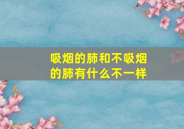 吸烟的肺和不吸烟的肺有什么不一样