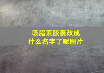 吸脂素胶囊改成什么名字了呢图片