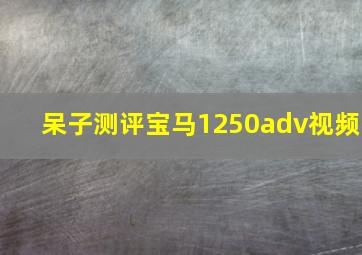 呆子测评宝马1250adv视频