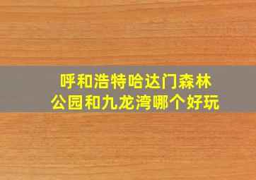 呼和浩特哈达门森林公园和九龙湾哪个好玩