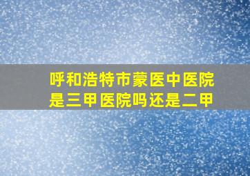 呼和浩特市蒙医中医院是三甲医院吗还是二甲