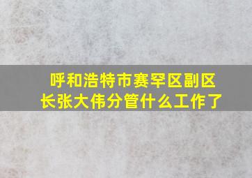 呼和浩特市赛罕区副区长张大伟分管什么工作了