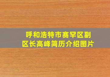 呼和浩特市赛罕区副区长高峰简历介绍图片