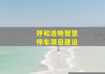 呼和浩特智慧停车项目建设