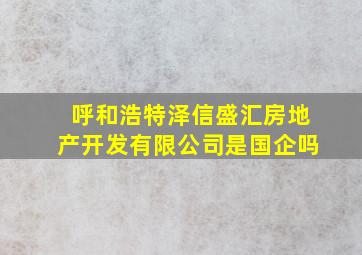 呼和浩特泽信盛汇房地产开发有限公司是国企吗