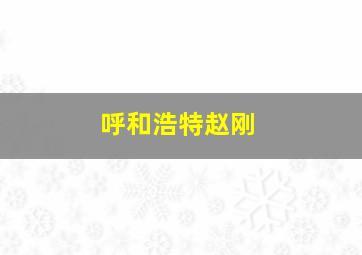 呼和浩特赵刚