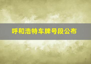 呼和浩特车牌号段公布