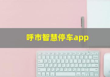 呼市智慧停车app