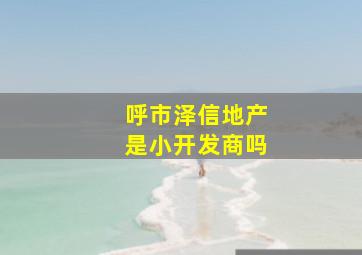 呼市泽信地产是小开发商吗