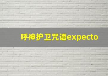 呼神护卫咒语expecto