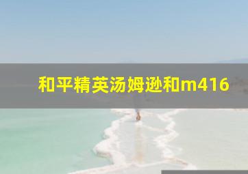 和平精英汤姆逊和m416