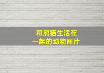 和熊猫生活在一起的动物图片