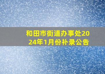 和田市街道办事处2024年1月份补录公告